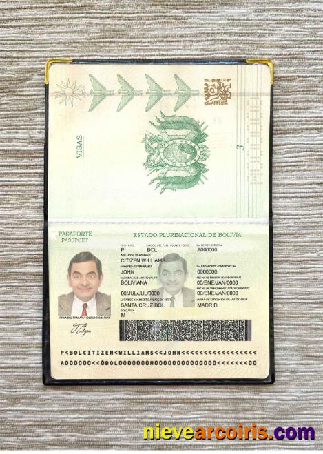 Bolivia passport photolook